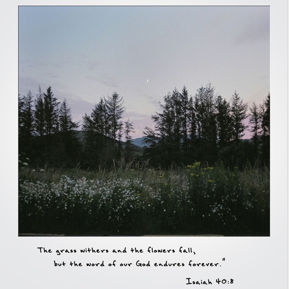 ✨welcome to my lil shop 🥰 - Picture 9 of 14